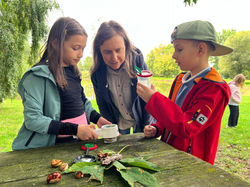 NzA_Othal_IIMG-20250918-WA0010