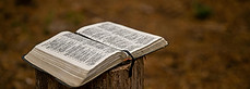 bible.jpg