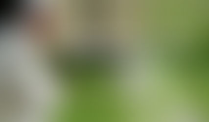 World Day of Prayer for the Care of Creation:  September 1 - October 4