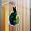 Thumbnail: Rainbow Fox