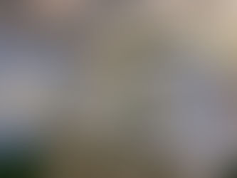 Unveiling the Unseen: Exploring the Essential Role of Funeral Directors in Singapore