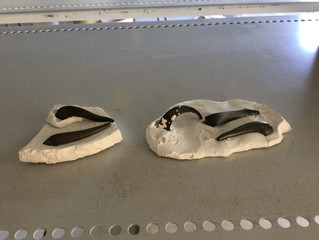 First firing completed