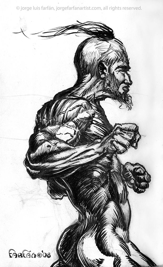 the boxer