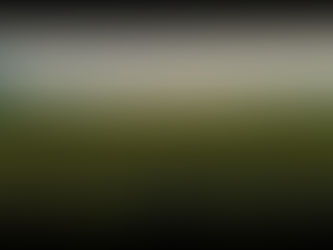 Daitem Professionnel