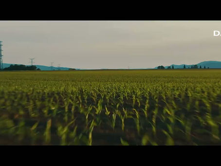 Daitem Professionnel