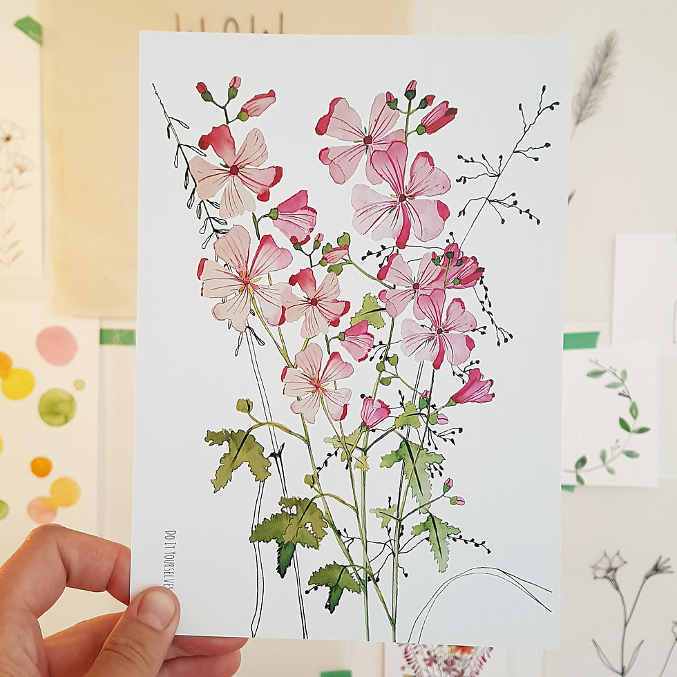 Ansichtkaart Muskuskaasjekruid (A5)