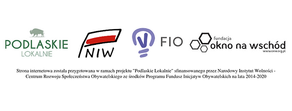 grafika - strona internetowa (1).png