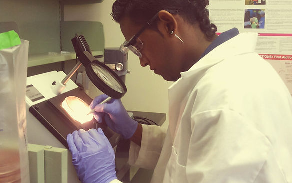 Marking bacterial colonies to be used for culturing in LB + Amp broth