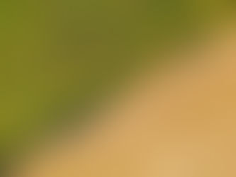 Sürdürülebilir Tarım Nedir? Faydaları Nelerdir?