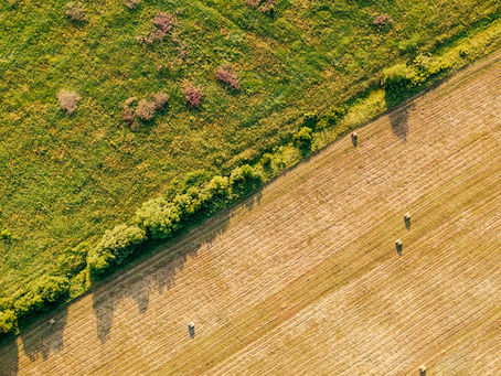 Sürdürülebilir Tarım Nedir? Faydaları Nelerdir?