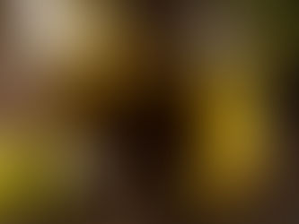 Soğuk Sıkım Zeytinyağı Nedir? Faydaları Nelerdir?