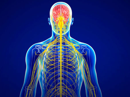 Massage for Nerve Pain - 'Adverse Neural Tension'
