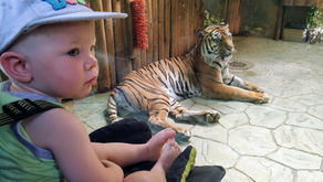 Eesti on kiviviske kaugusel?