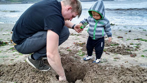 Kas sa teadsid, et..