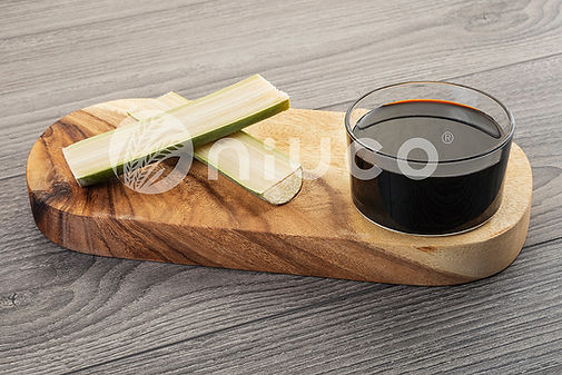 Cami - MR (A)MDA.jpg