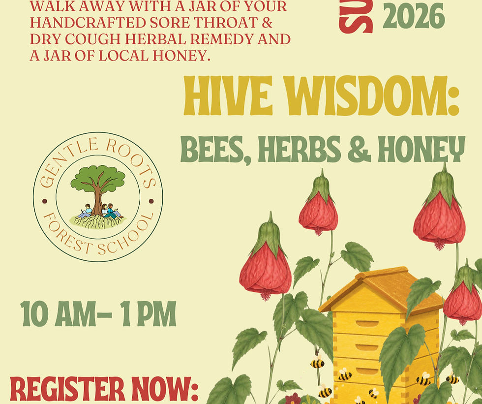 Hive Wisdom: Bees, Herbs & Honey