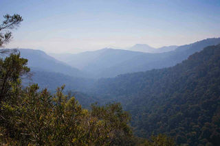 Pierre in Oz Rainforest Photography Workshop, classes, courses, Twin Falls Circuit, Springbrook, Gold Coast QLD
