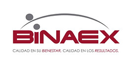 BINAEXLOGO.jpg