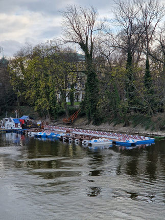 Recommended Attraction: Paddle Boat Rentals.