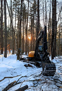 PXL_20260219_215536302_edited.jpg