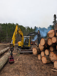 PXL_20260415_141321611.jpg