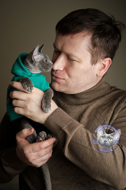 Devon Rex Breeder With His Kittens Devon Rex Blue Solid Color drx (a)