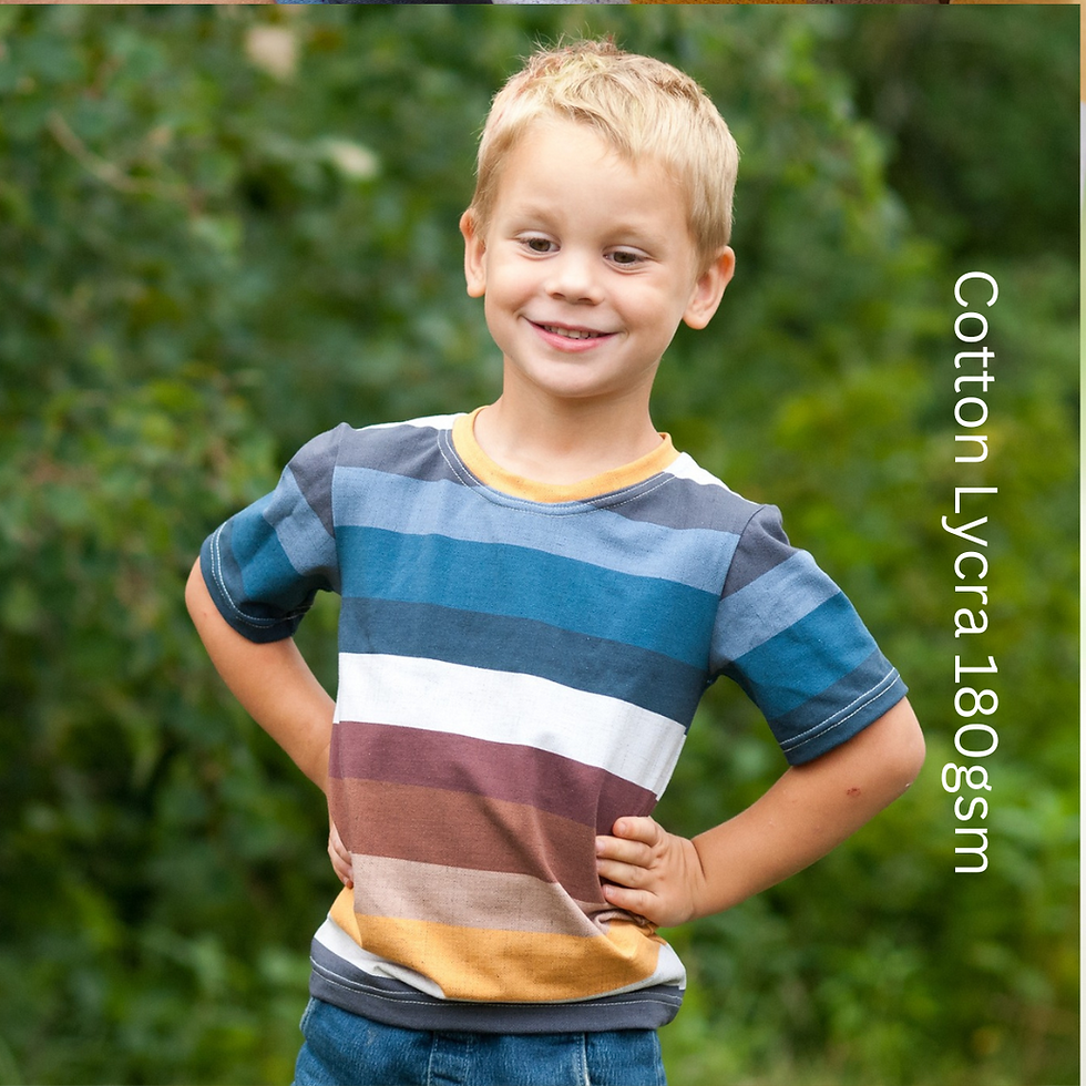 Thumbnail: EARTH STRIPES