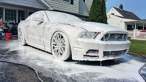 mustang_edited_edited.jpg