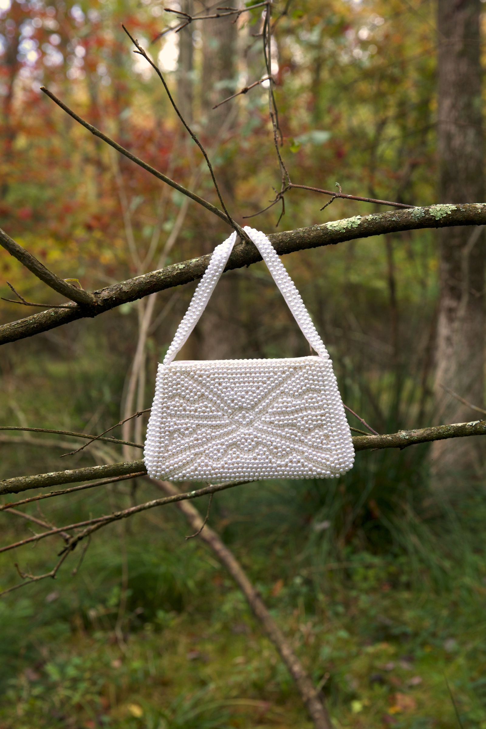 BEADED PEARL PURSE