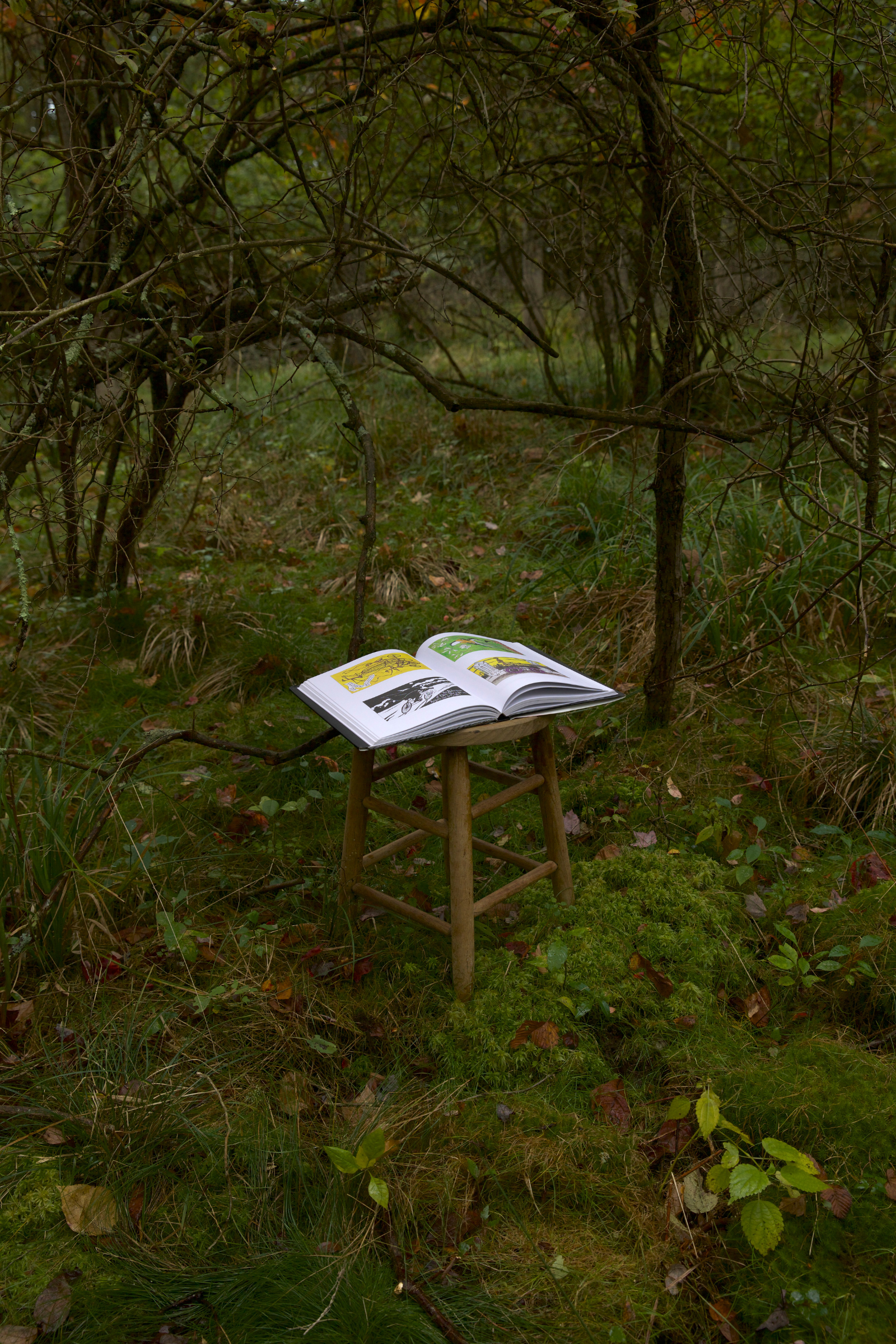GOREY COFFEE TABLE BOOK