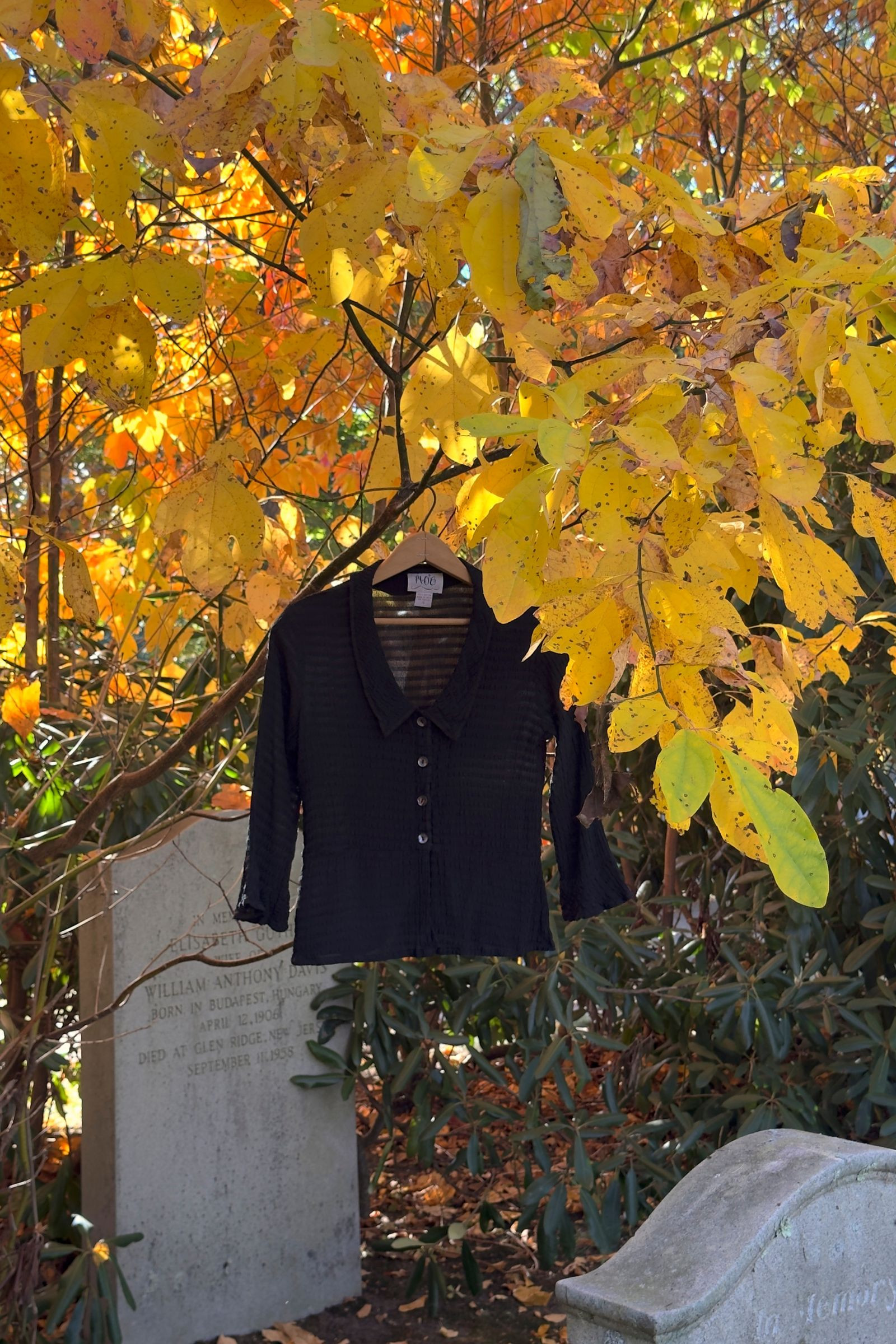 Y2K BLACK SEERSUCKER TOP
