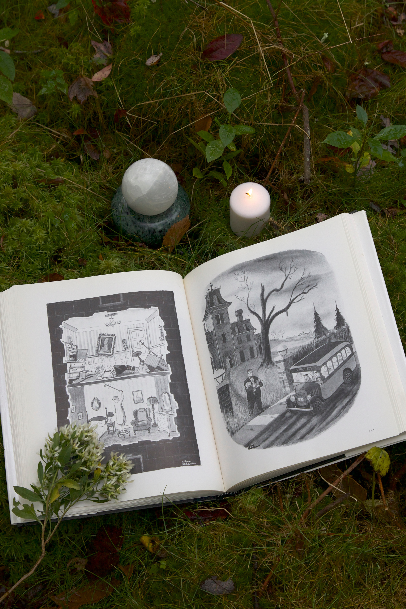 ADDAMS FAMILY BOOK