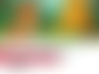 విస్మయ నది – ఒక అడవి జాతకం! 🌊🦜