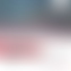 Male tiger enters Nizamabad district, forest officials on high alert