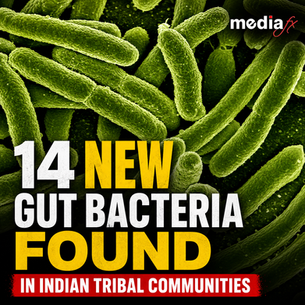 14 Unknown Gut Bacteria Found in India’s Tribal Communities!