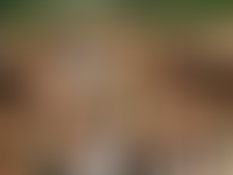 Mystery Disease Claims Lives in Chhattisgarh's Sukma Village: Symptoms and Causes