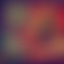 కేరళలోని దాగి ఉన్న సినిమాను ఆవిష్కరించడం: 📽️ సాఫ్ట్-పోర్న్ పరిశ్రమలోకి ఒక విద్యావేత్త దూసుకుపోవడం