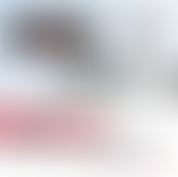 TCS Nashik Case: Court Denies Anticipatory Bail to Nida Khan