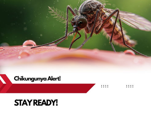 China's Chikungunya Spark! 🦟 India, Wake Up – Could It Hit You Next?