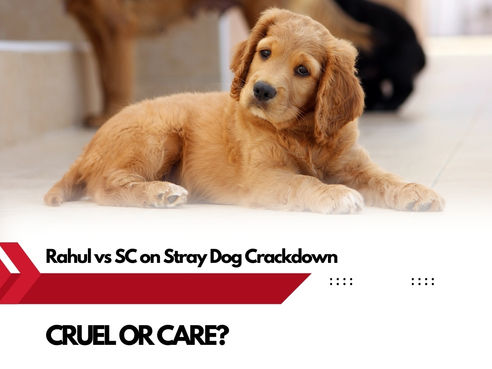 🐶🔥 "Rahul Gandhi Slams SC’s ‘Cruel’ Dog Order – Calls It a Step Back!"