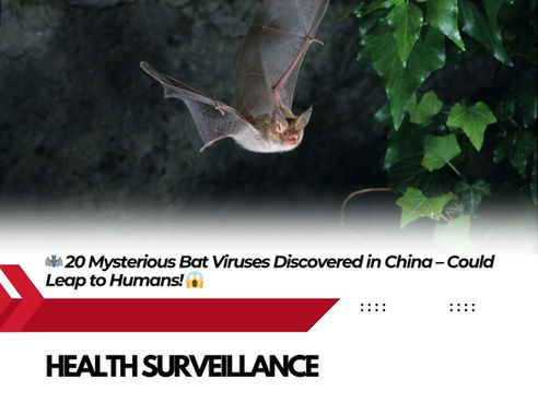 🦇 20 Mysterious Bat Viruses Discovered in China – Could Leap to Humans! 😱