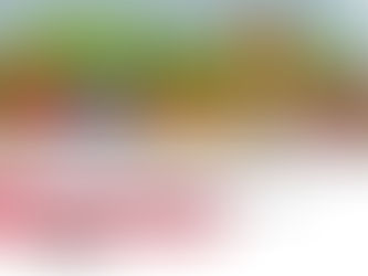 🌧️ "The Monsoon Mischief of Mala the Mongoose" 🐾