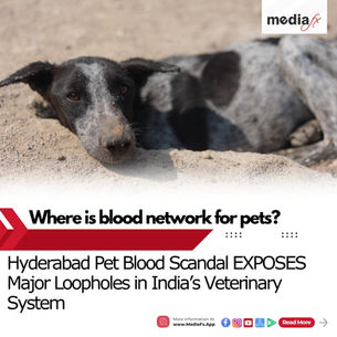 Hyderabad’s Illegal Pet Blood Transfusion Allegations Expose Regulatory Grey Areas in India’s Veterinary Healthcare System