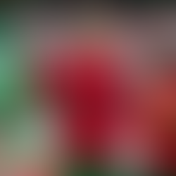 🎬⚽ CR7's New Goal: Lights, Camera, Action! 🎥🔥