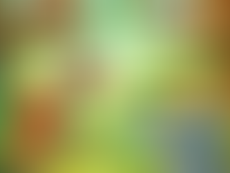 The Great Debate of Jungle Junction