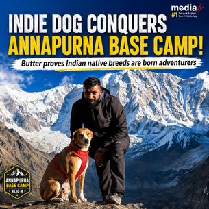 Indian Indie Dog Climbs Annapurna Base Camp! 
