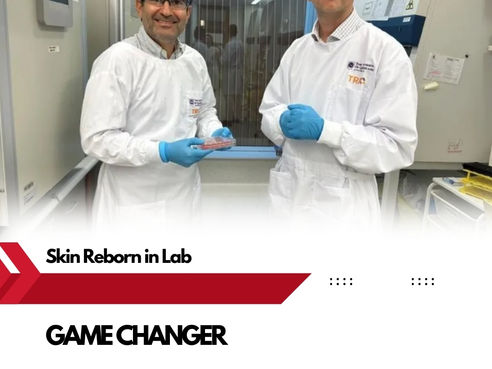 🌍✨ World’s 1st Living Skin with Blood Supply Grown in Lab – Big Hope for Patients!🧪🩸