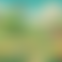 🎨✨ Is OpenAI's Ghibli-Style AI Art a Copyright Catastrophe? 🤖🖼️