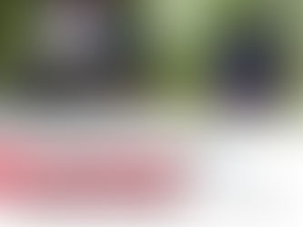 Eluru Maoist Hideout Busted—Locals Spill Shocking Secrets!