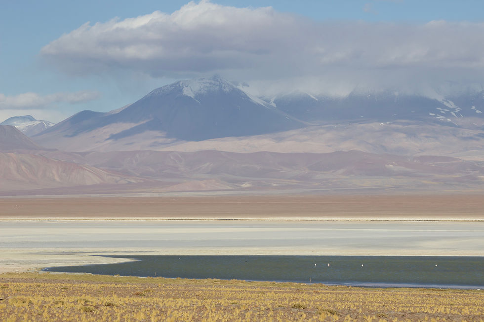Miniatura: Parque Nevado Tres Cruces